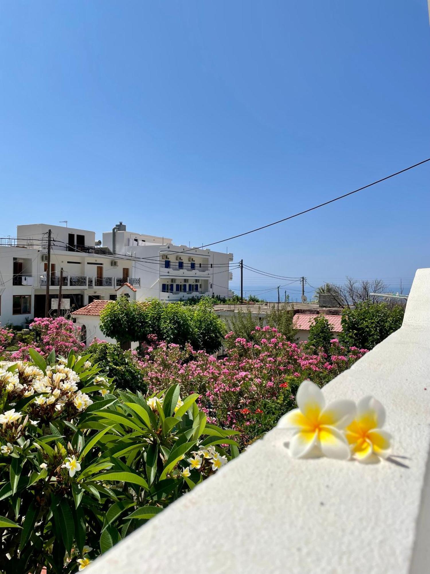 Panorama Rooms أجيا روميلي المظهر الخارجي الصورة